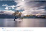 Neuseeland - Wanaka Tree